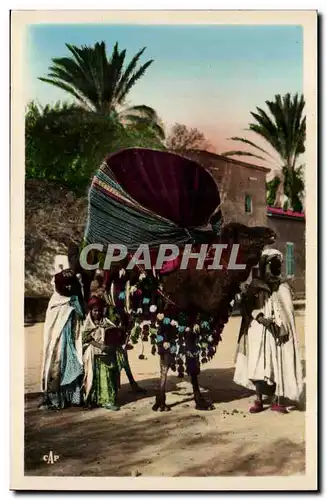 Constantine - Algerie - Algeria - Afrique - Africa - Biskra - Un Basour - chameau - camel - Cartes postales