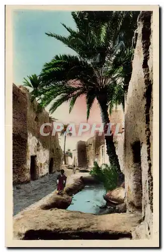 Constantine - Algerie - Algeria - Afrique - Africa - Biskra - Vieux Biskra - Une Rue de Bab Darb - C