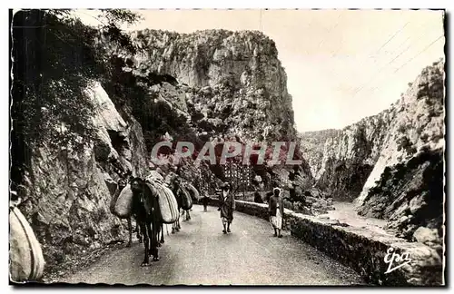 Algerie - Afrique - Gorges de Palestro - Caravane - ane - donkey - Ansichtskarte AK