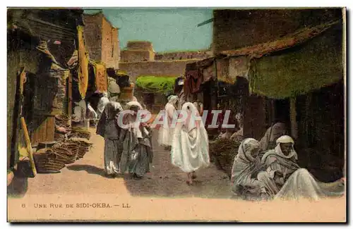 Algerie - Afrique - Une Rue de Sidi Okba - Cartes postales