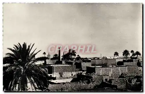 Algerie - Afrique - Ouargia - Vue Generale sur les Mosquees - Ansichtskarte AK