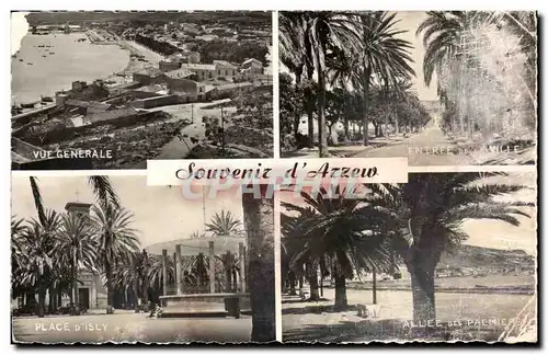 Algerie Cartes postales Souvenir d&#39Azzew