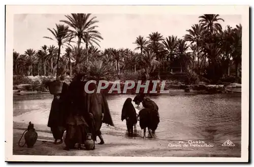 Algerie Cartes postales oasis de TReboulbou (femmes)