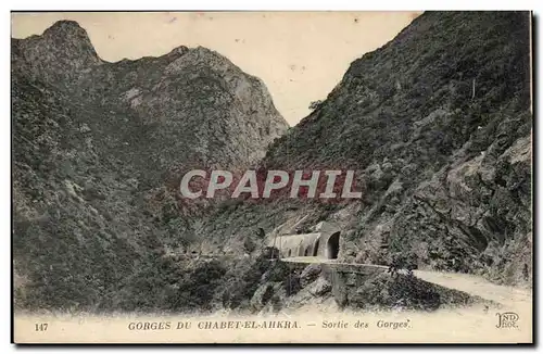 Algerie Ansichtskarte AK Gorges du Chalet El Ahkra Sortie des gorges