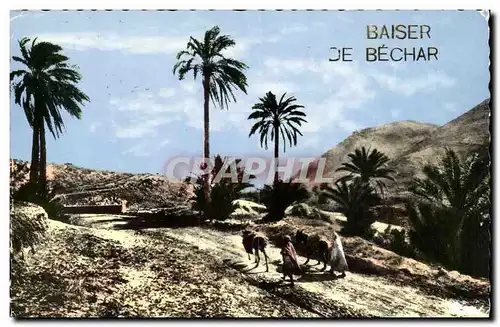 Algerie Ansichtskarte AK Baiser de Bechar (ane donkey)