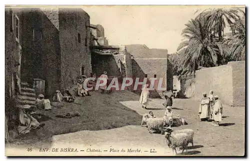 Algerie Ansichtskarte AK Environs de Biskra Chetma Place du marche (moutons)