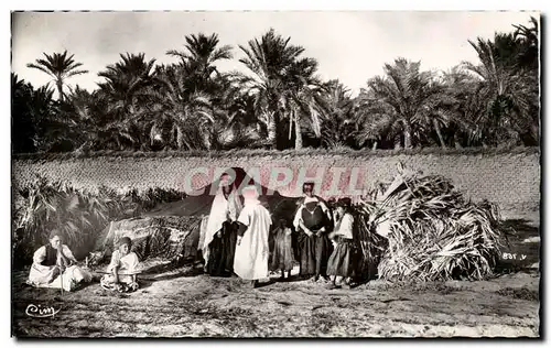 Algerie Biskra Cartes postales Constantine Campement