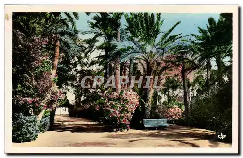 Algerie Biskra Cartes postales Constantine Jardin landon Une allee