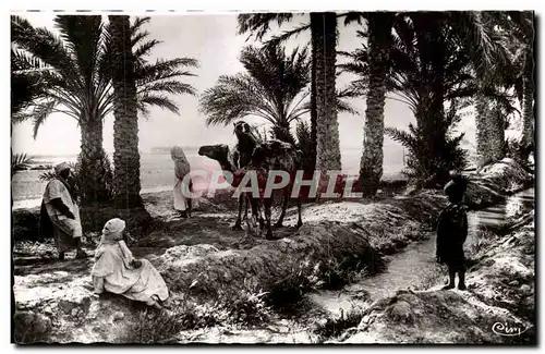 Algerie Biskra Ansichtskarte AK Constantine Dans l&#39oasis