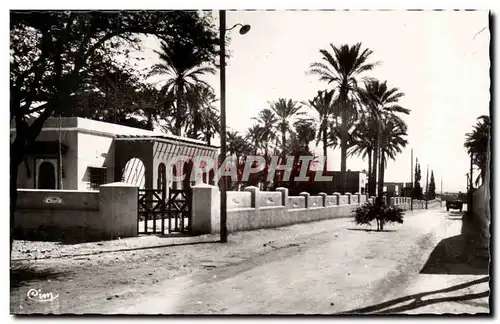 Algerie Biskra Ansichtskarte AK Constantine Route de Chaiba