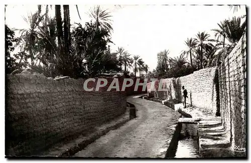 Algerie Biskra Ansichtskarte AK Une rue de Bab Darb