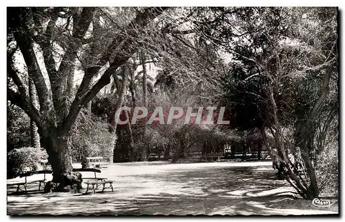 Algerie Biskra Cartes postales Constantine Le square