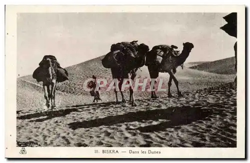 Algerie Biskra Ansichtskarte AK Constantine Dans les dunes (camel chameau)