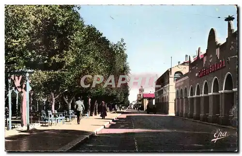 Algerie Biskra Constantine Cartes postales Cafe et hotel du Sahara