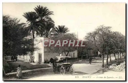 Algerie Ansichtskarte AK Biskra Constantine Avenue de Lacroix