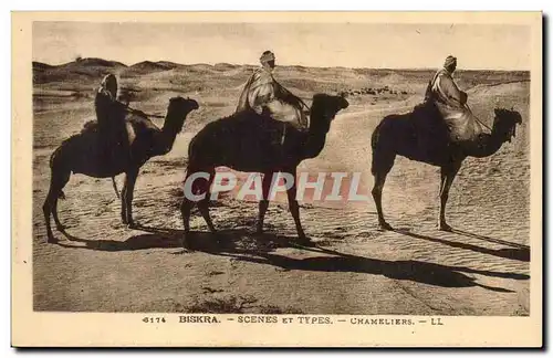 Algerie Cartes postales Biskra Constantine Chameliers