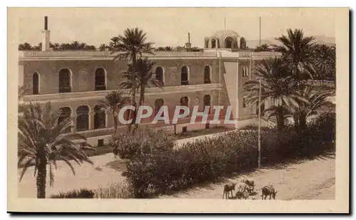 Algerie Constantine Cartes postales Biskra le palace hotel