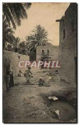 Algerie Constantine Cartes postales Biskra Un coin de l'oasis