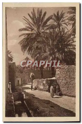 Algerie Constantine Cartes postales Biskra Rue a Bab Darb