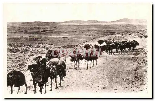 Algerie Constantine Ansichtskarte AK Biskra Caravane au col Sfa