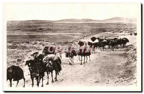 Algerie Constantine Cartes postales Biskra Caravane au col Sfa