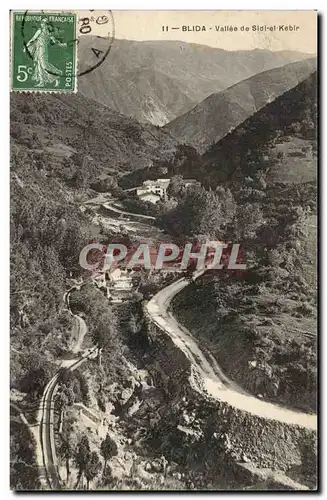 Algerie Cartes postales Blida Vallee de Sidi el Kebir