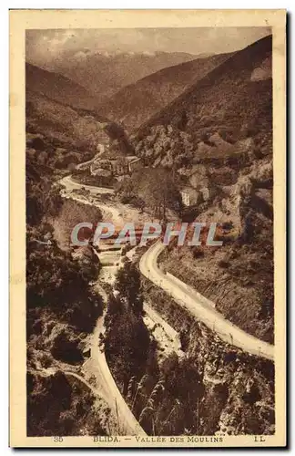 Algerie Cartes postales Blida Vallee des moulins