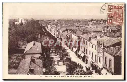 Algerie Ansichtskarte AK Blida le boulevard Trumelet