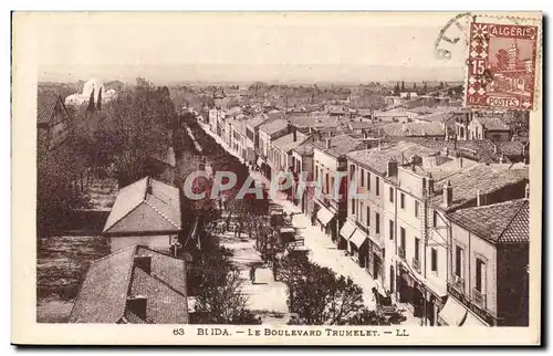 Algerie Cartes postales Blida le boulevard Trumelet