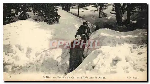 Algerie Ansichtskarte AK Blida Sentier du col de Chrea par la neige