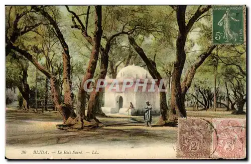 Algerie Cartes postales Blida le bois sacre