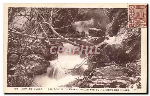 Algerie Ansichtskarte AK Environs de Blida Gorges de la Chiffa Cascade du ruisseau des singes