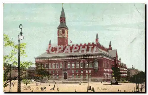 Denmark Danemark Cartes postales Copenhague raadkuset