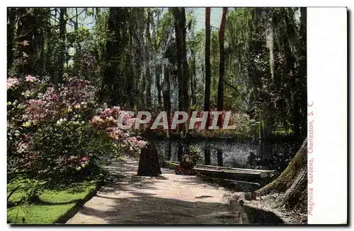 Cartes postales Magnola Gardens Charleston SC