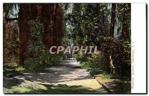 Cartes postales Magnola Gardens Charleston SC