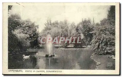 Cartes postales Offenburg Partie im Zwinger Schwanenteich