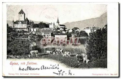 Austrich - Austria - Spiez mit Schloss - Cartes postales