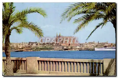 Espagne Spain Espana Ansichtskarte AK Mallorca Palma la catedral desde el paseo Maritimo