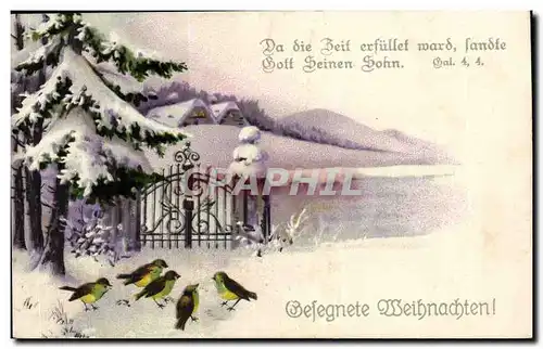 Cartes postales FAntaisie Weihnachten Joyeux Noel (oiseaus)