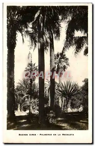 Argentine Buenos Aires Cartes postales Palmeras en la regoleta (palmiers)
