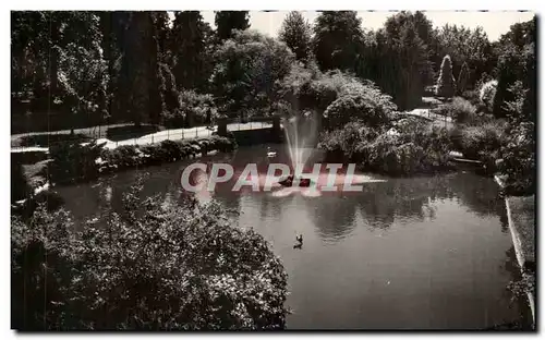 Vichy Ansichtskarte AK Le bassin des cygnes dans les grands parcs