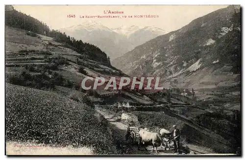 Cartes postales Le Saint Barthelemy vu de Montsegur (animee)