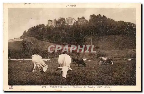 Mirepoix Cartes postales Le chateau de Terride (15eme)