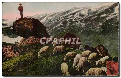 Cartes postales Pyrenees loin du monde (moutons)