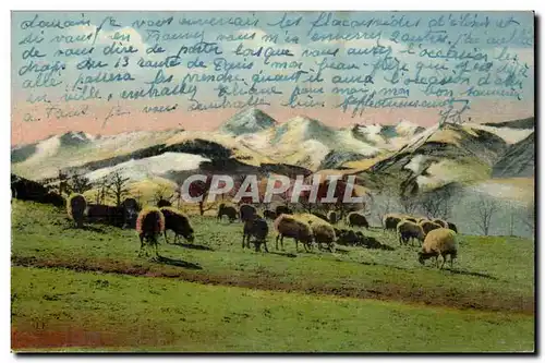 Cartes postales La chaine des Pyrenees Paturages de montagne