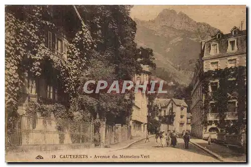 CAuterets Ansichtskarte AK Avenue du Marmelon Vert