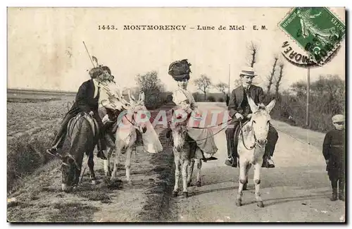 Montmorency Cartes postales Lune de mile (ane donkey) TOP
