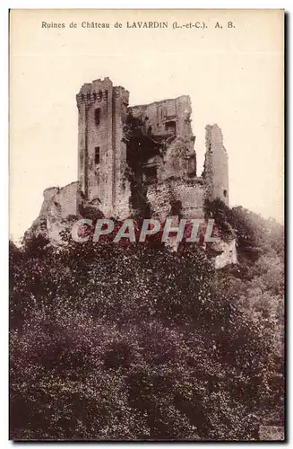 Cartes postales Ruines du chateau de Lavardin