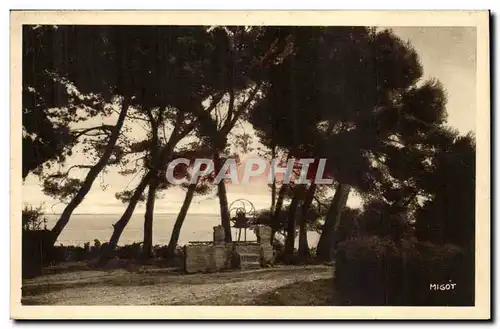 Palavas les Flots Cartes postales Les pins de Maguelone