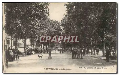 Montpellier Cartes postales L'esplanade